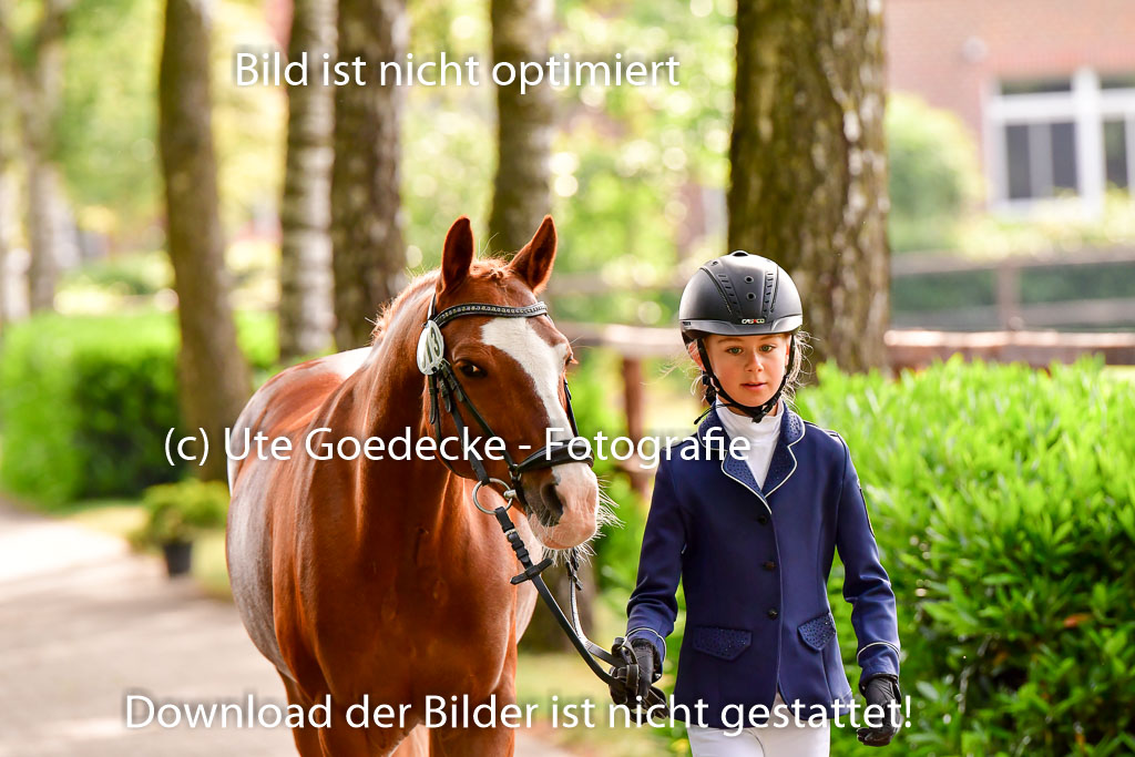 Goldene Schärpe Ponys in Löningen 4+5.6.22 | 05062022 Vormustern_093