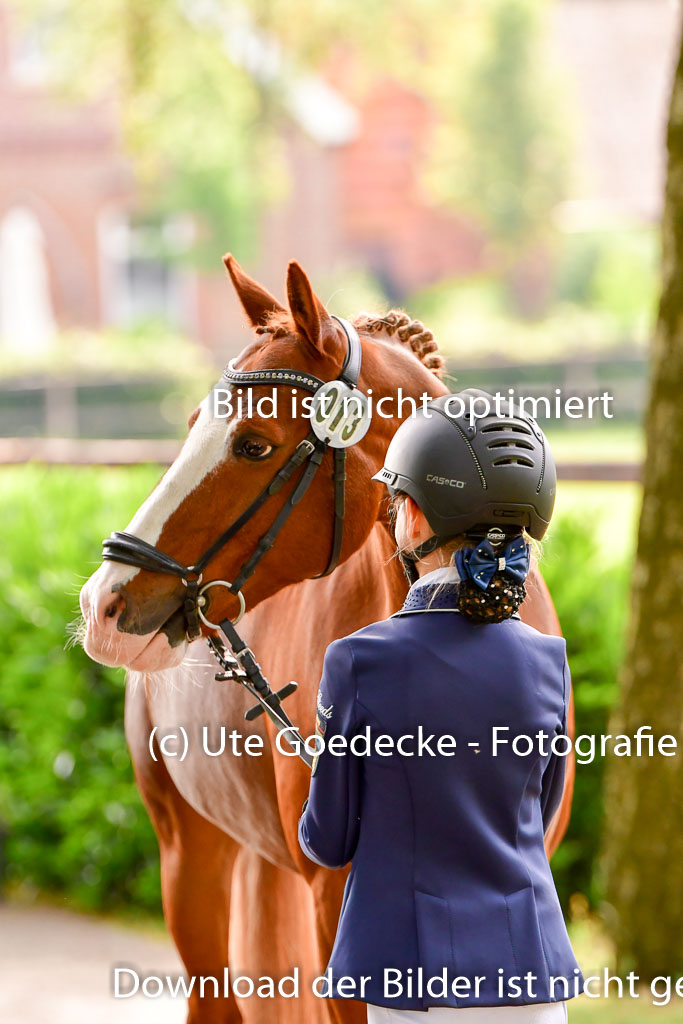 Goldene Schärpe Ponys in Löningen 4+5.6.22 | 05062022 Vormustern_094