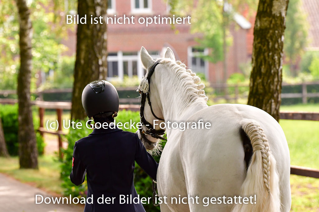 Goldene Schärpe Ponys in Löningen 4+5.6.22 | 05062022 Vormustern_102
