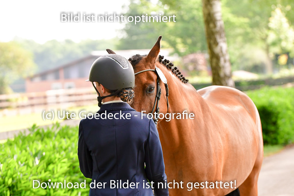 Goldene Schärpe Ponys in Löningen 4+5.6.22 | 05062022 Vormustern_113