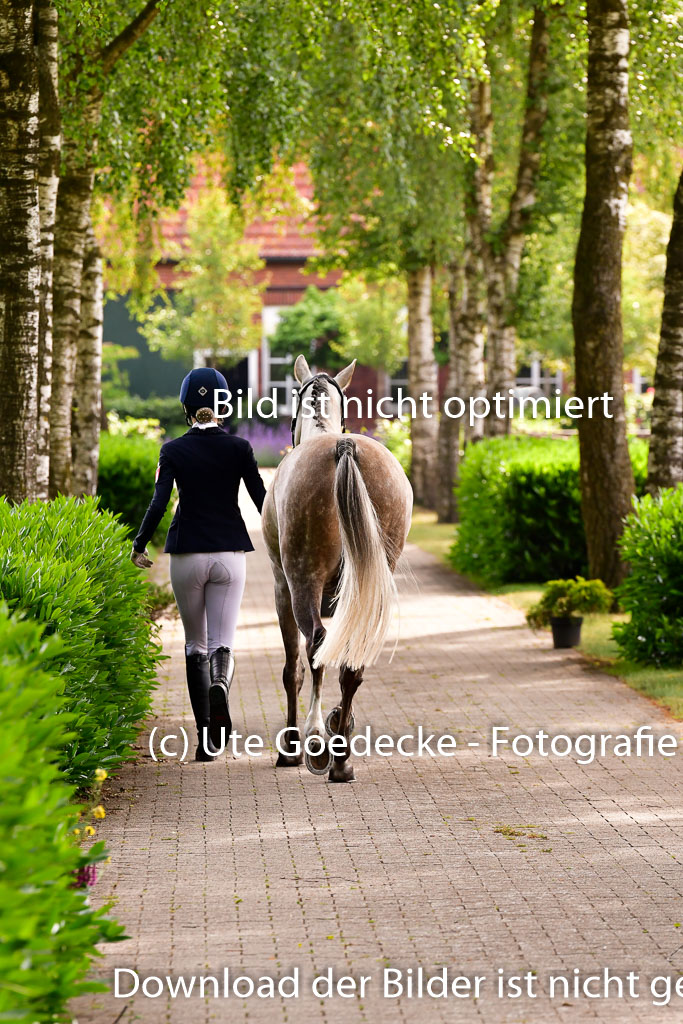 Goldene Schärpe Ponys in Löningen 4+5.6.22 | 05062022 Vormustern_118
