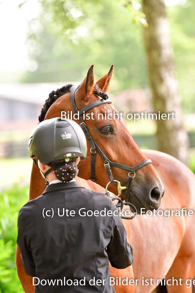 Goldene Schärpe Ponys in Löningen 4+5.6.22 | 05062022 Vormustern_127