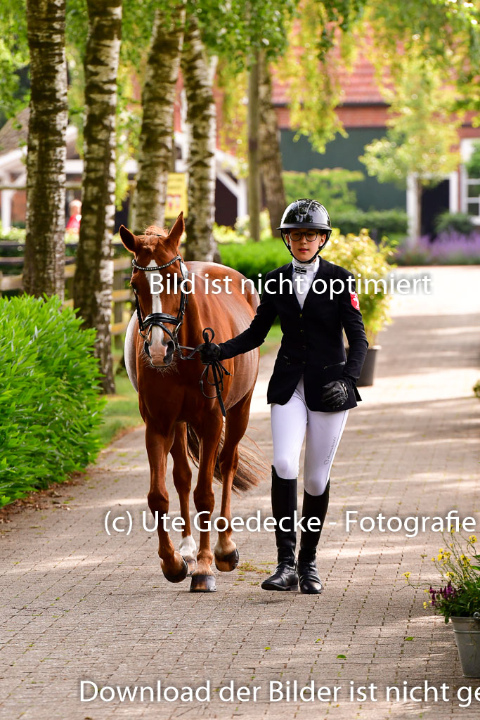 Goldene Schärpe Ponys in Löningen 4+5.6.22 | 05062022 Vormustern_132