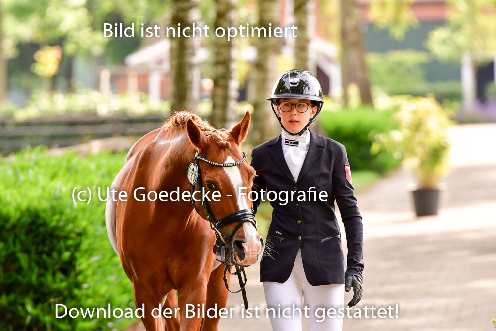 Goldene Schärpe Ponys in Löningen 4+5.6.22 | 05062022 Vormustern_133