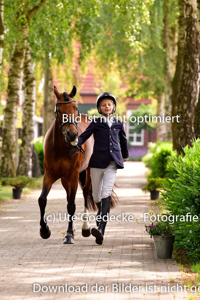 Goldene Schärpe Ponys in Löningen 4+5.6.22 | 05062022 Vormustern_142