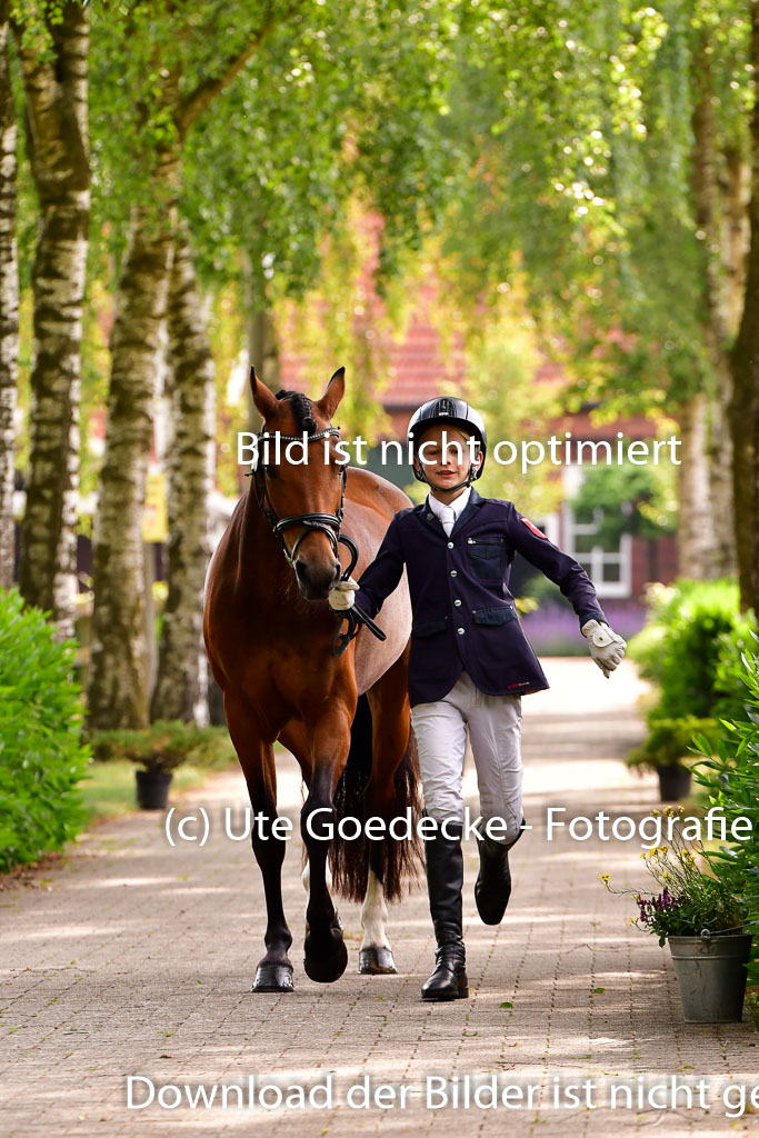 Goldene Schärpe Ponys in Löningen 4+5.6.22 | 05062022 Vormustern_143