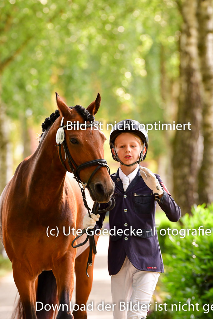 Goldene Schärpe Ponys in Löningen 4+5.6.22 | 05062022 Vormustern_144