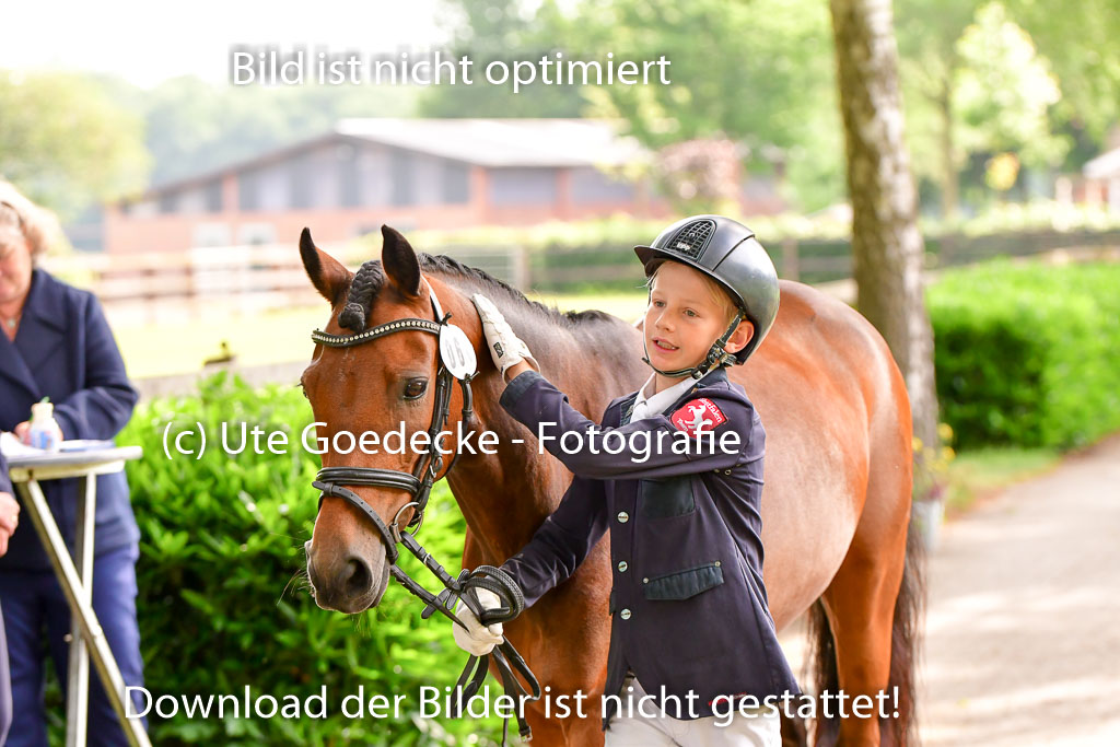 Goldene Schärpe Ponys in Löningen 4+5.6.22 | 05062022 Vormustern_146