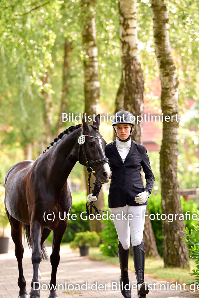 Goldene Schärpe Ponys in Löningen 4+5.6.22 | 05062022 Vormustern_151