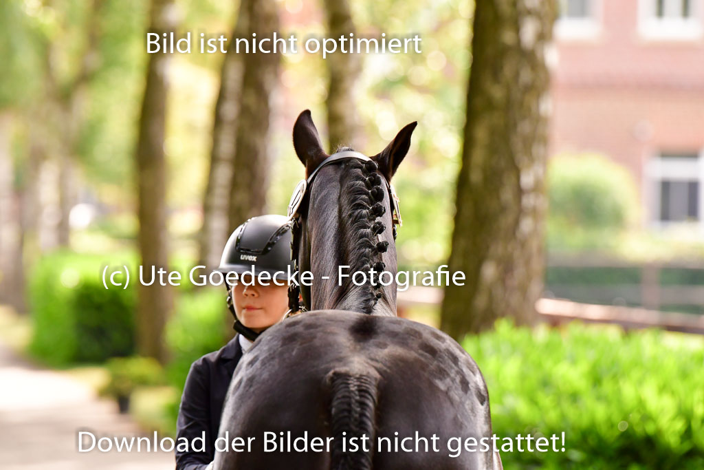 Goldene Schärpe Ponys in Löningen 4+5.6.22 | 05062022 Vormustern_157