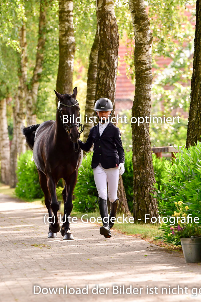 Goldene Schärpe Ponys in Löningen 4+5.6.22 | 05062022 Vormustern_161