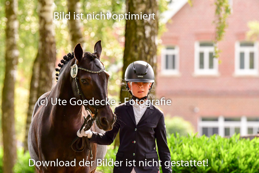 Goldene Schärpe Ponys in Löningen 4+5.6.22 | 05062022 Vormustern_162