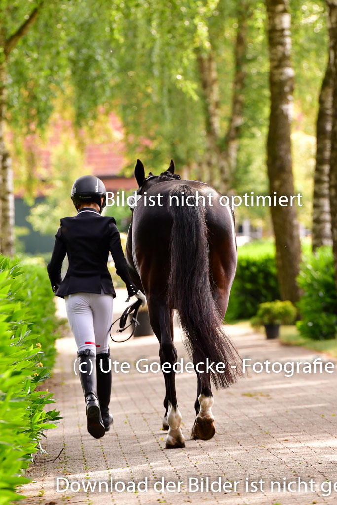 Goldene Schärpe Ponys in Löningen 4+5.6.22 | 05062022 Vormustern_168
