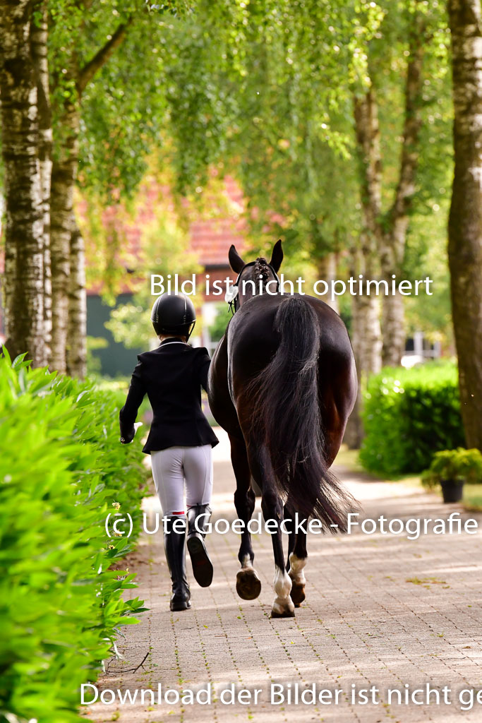 Goldene Schärpe Ponys in Löningen 4+5.6.22 | 05062022 Vormustern_169