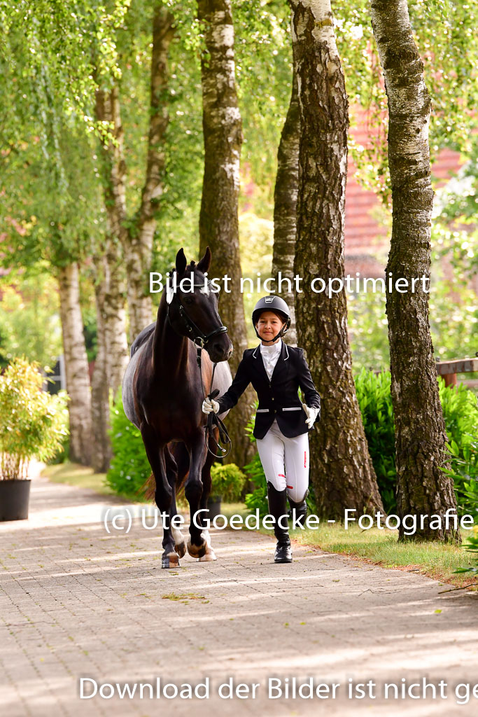 Goldene Schärpe Ponys in Löningen 4+5.6.22 | 05062022 Vormustern_170