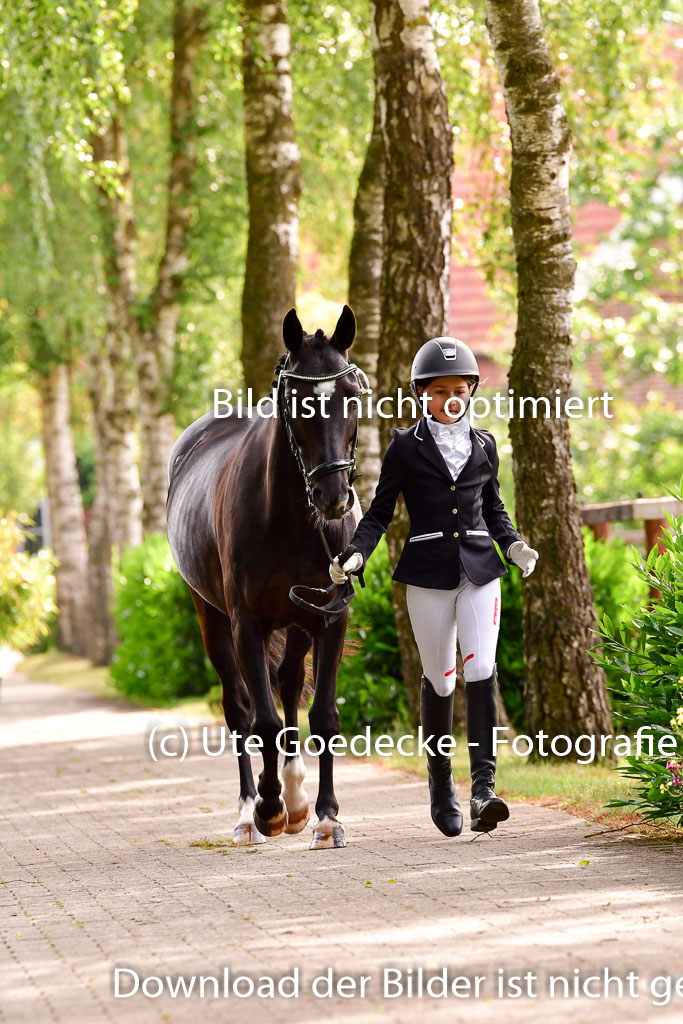 Goldene Schärpe Ponys in Löningen 4+5.6.22 | 05062022 Vormustern_171