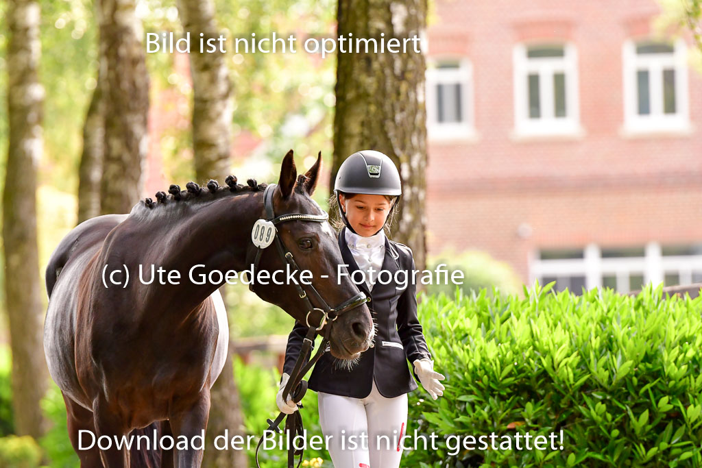 Goldene Schärpe Ponys in Löningen 4+5.6.22 | 05062022 Vormustern_172