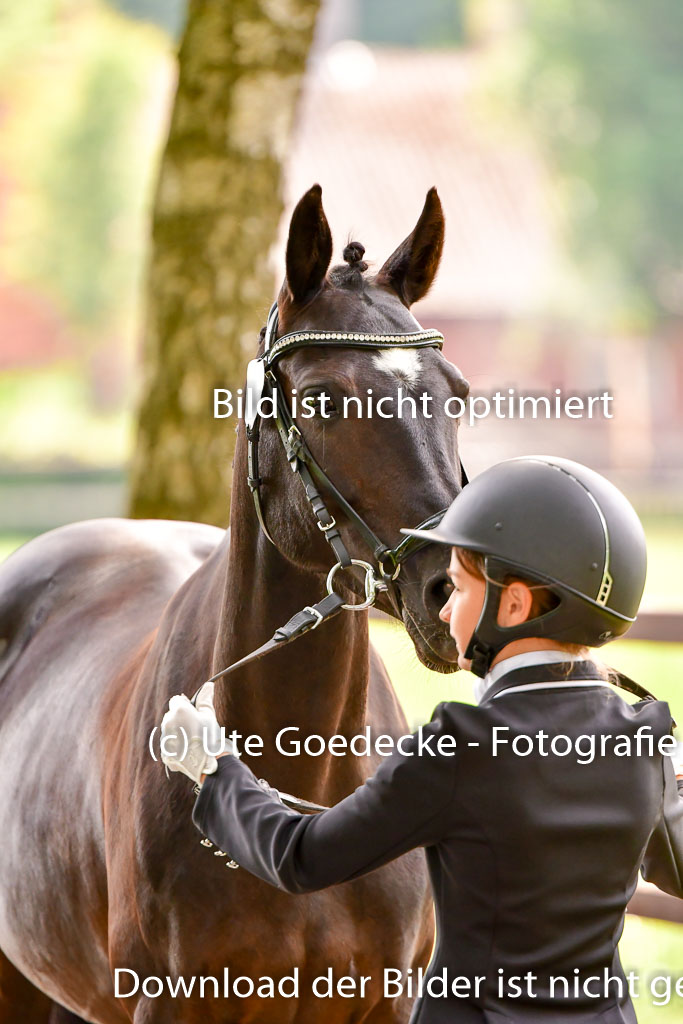 Goldene Schärpe Ponys in Löningen 4+5.6.22 | 05062022 Vormustern_175