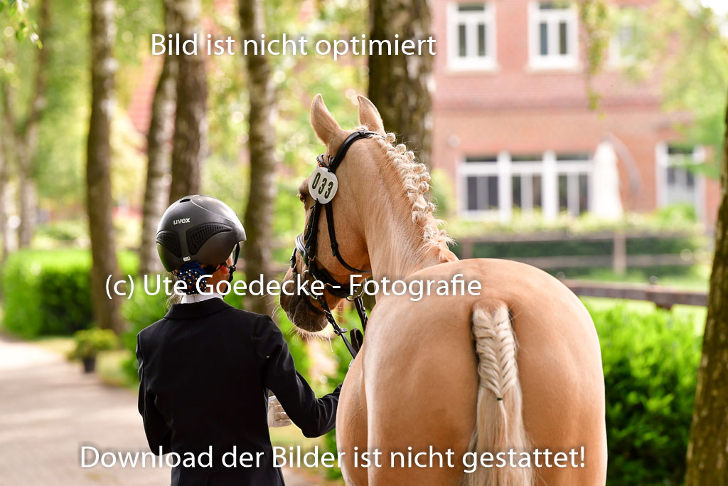 Goldene Schärpe Ponys in Löningen 4+5.6.22 | 05062022 Vormustern_178