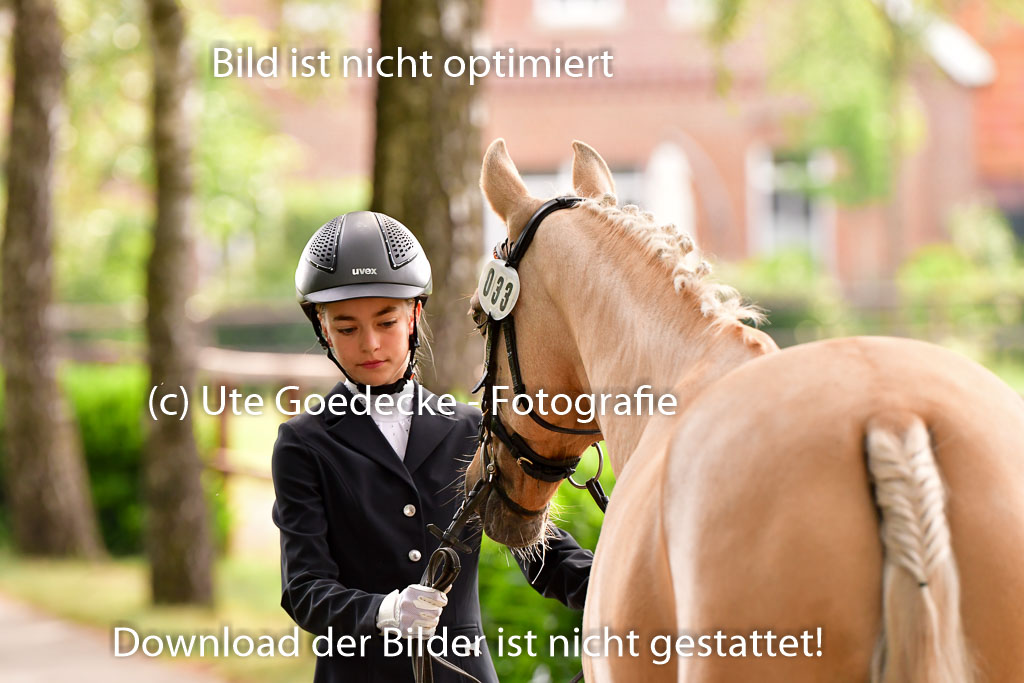 Goldene Schärpe Ponys in Löningen 4+5.6.22 | 05062022 Vormustern_179