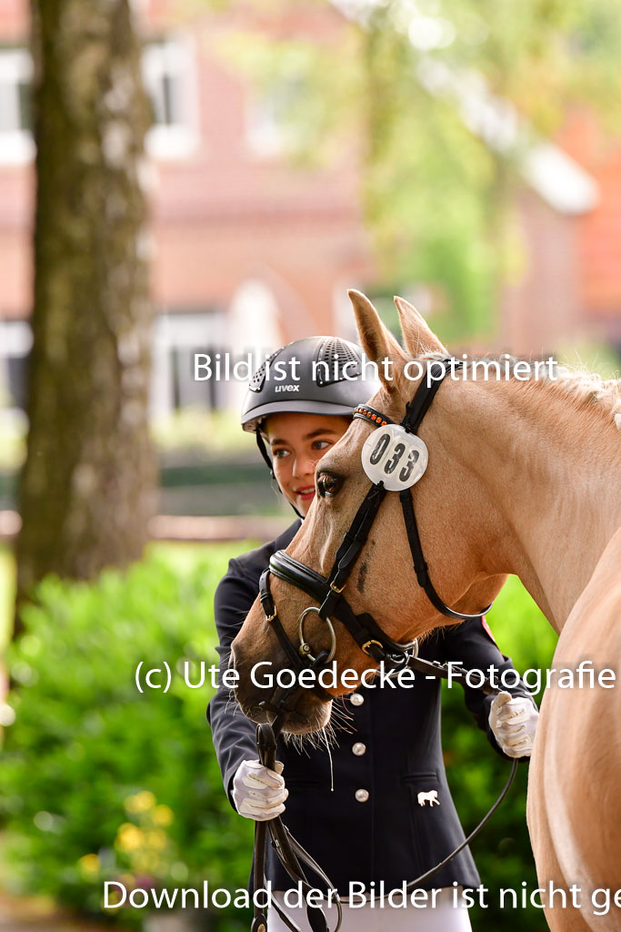 Goldene Schärpe Ponys in Löningen 4+5.6.22 | 05062022 Vormustern_180