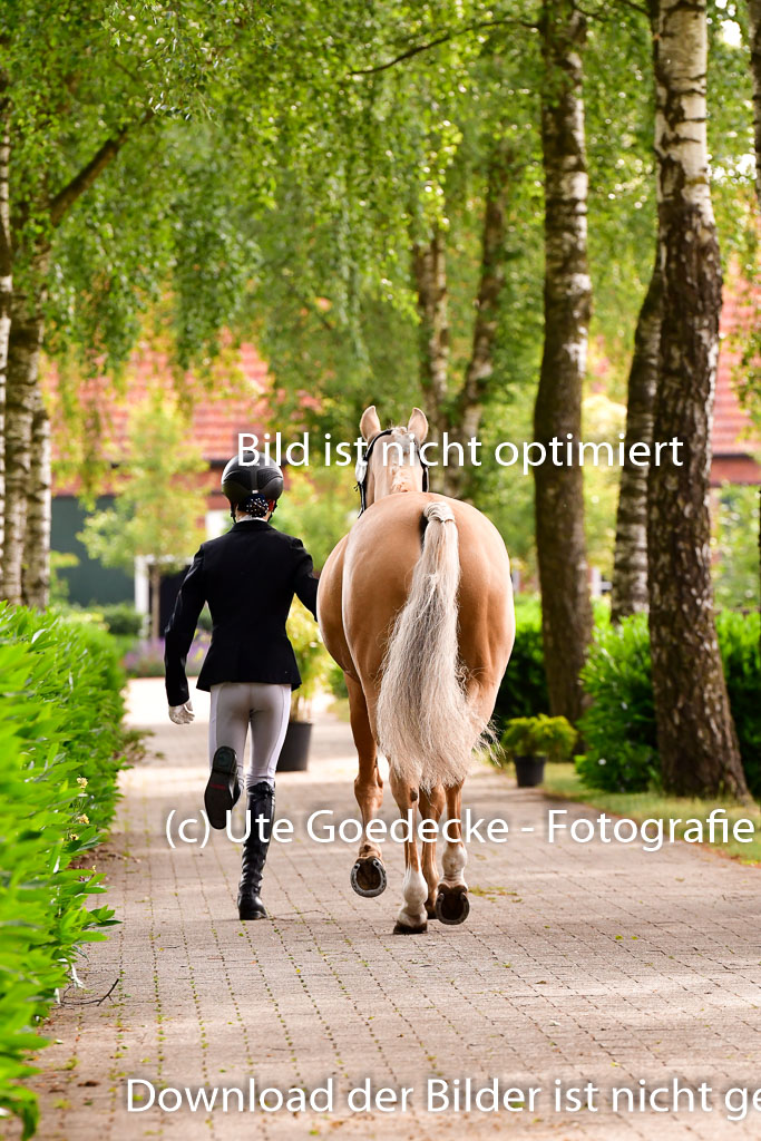 Goldene Schärpe Ponys in Löningen 4+5.6.22 | 05062022 Vormustern_183