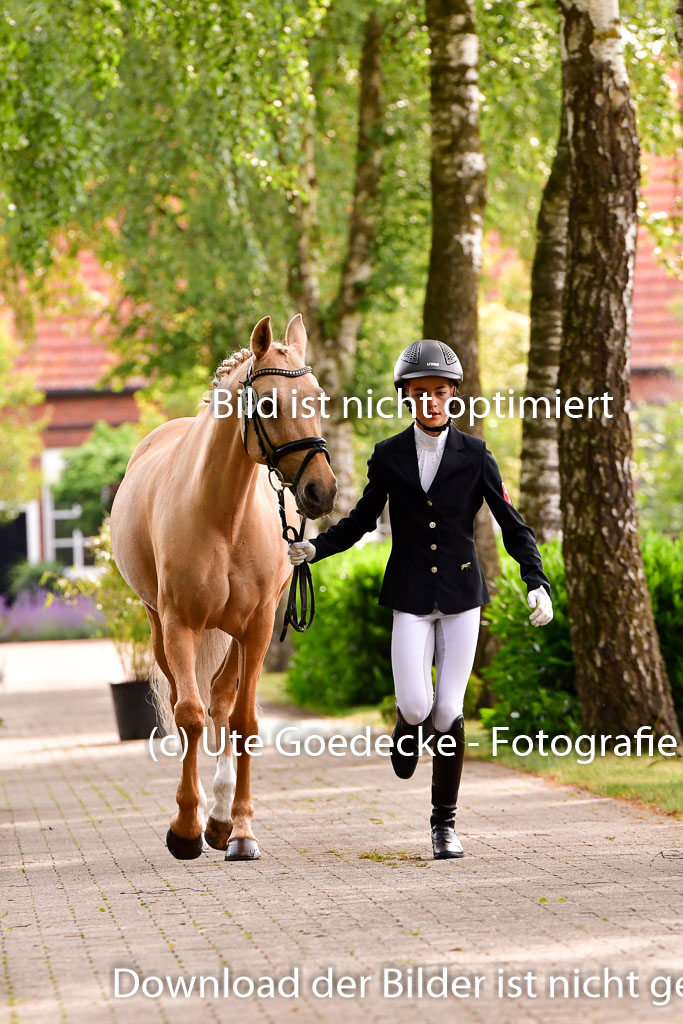 Goldene Schärpe Ponys in Löningen 4+5.6.22 | 05062022 Vormustern_184