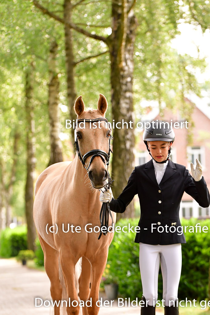 Goldene Schärpe Ponys in Löningen 4+5.6.22 | 05062022 Vormustern_185