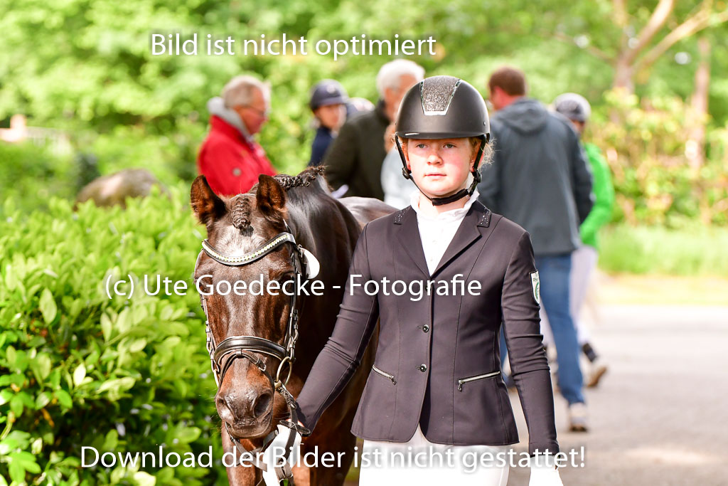 Goldene Schärpe Ponys in Löningen 4+5.6.22 | 05062022 Vormustern_190