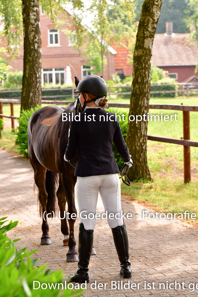 Goldene Schärpe Ponys in Löningen 4+5.6.22 | 05062022 Vormustern_196