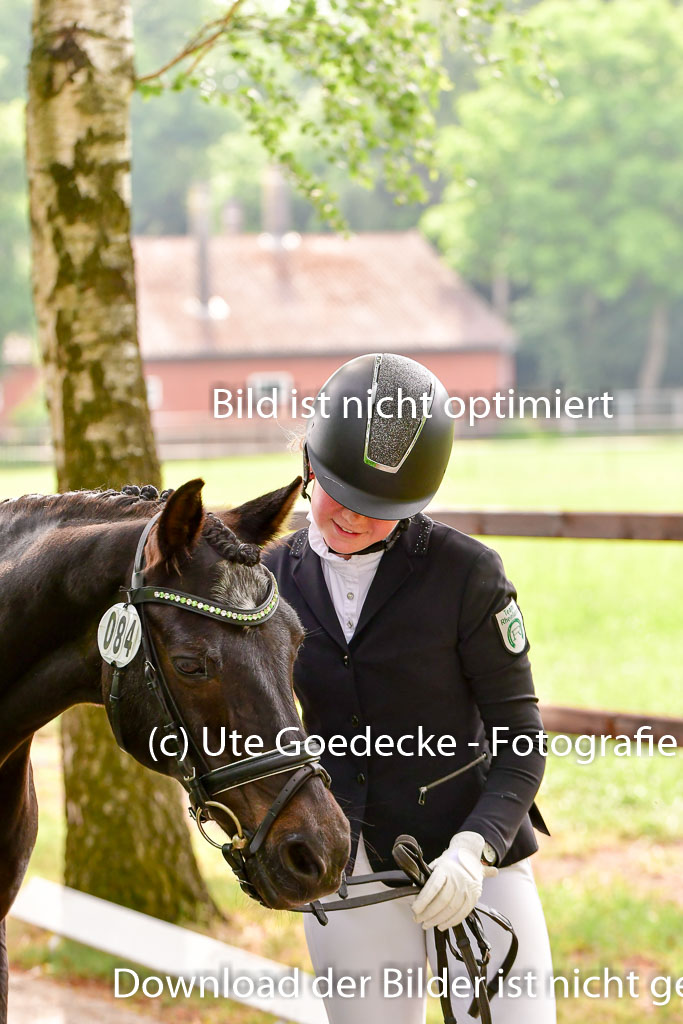 Goldene Schärpe Ponys in Löningen 4+5.6.22 | 05062022 Vormustern_197