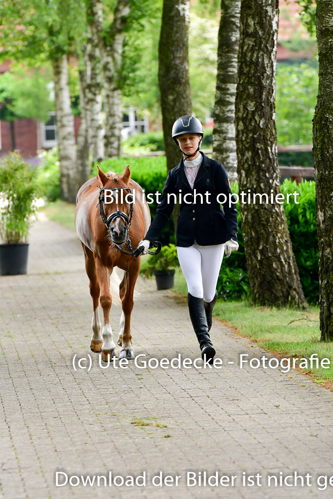 Goldene Schärpe Ponys in Löningen 4+5.6.22 | 05062022 Vormustern_206