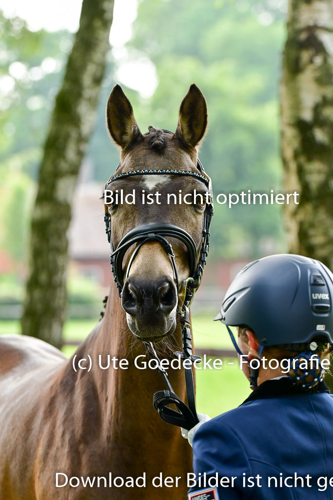 Goldene Schärpe Ponys in Löningen 4+5.6.22 | 05062022 Vormustern_210