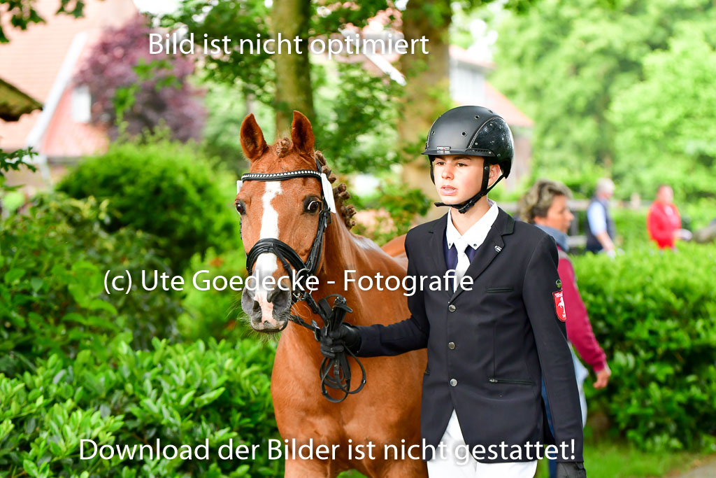 Goldene Schärpe Ponys in Löningen 4+5.6.22 | 05062022 Vormustern_211