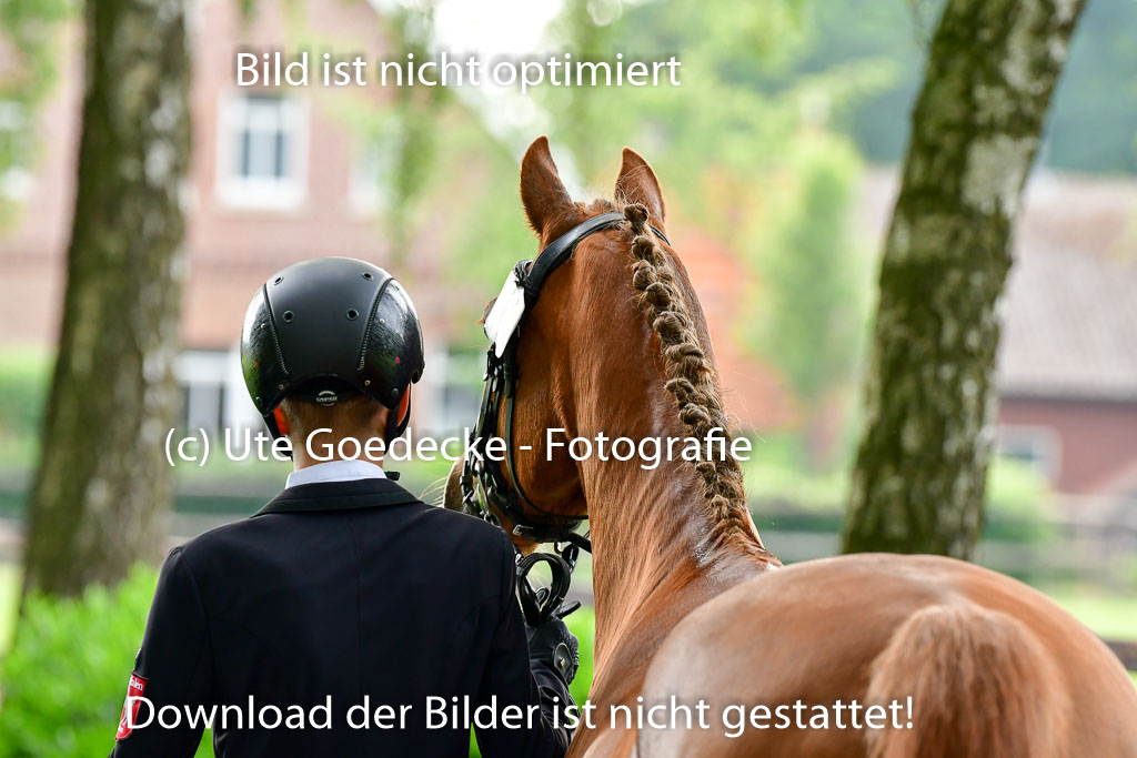 Goldene Schärpe Ponys in Löningen 4+5.6.22 | 05062022 Vormustern_213