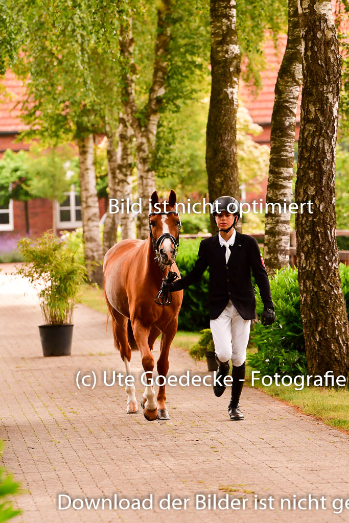 Goldene Schärpe Ponys in Löningen 4+5.6.22 | 05062022 Vormustern_216