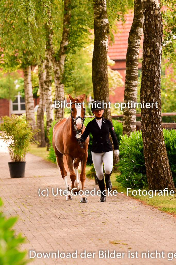 Goldene Schärpe Ponys in Löningen 4+5.6.22 | 05062022 Vormustern_224