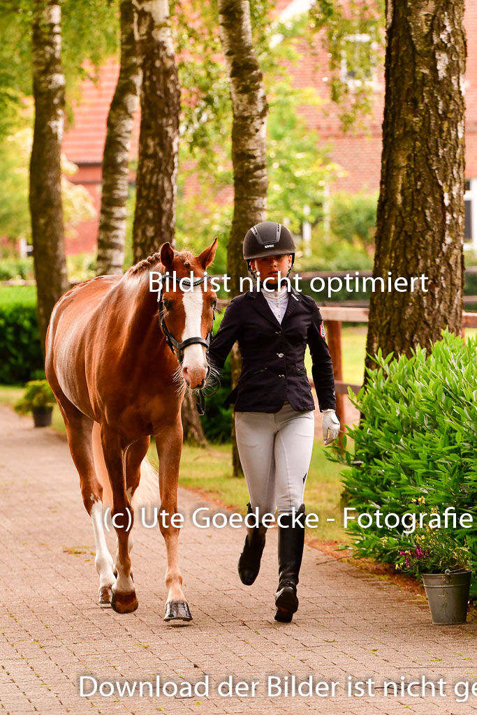 Goldene Schärpe Ponys in Löningen 4+5.6.22 | 05062022 Vormustern_225