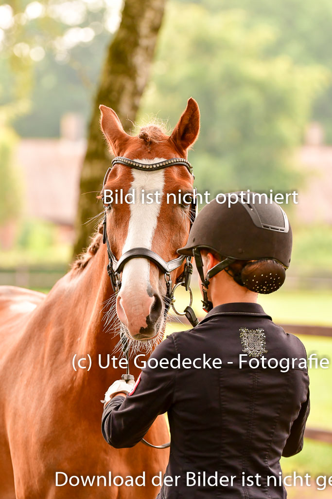 Goldene Schärpe Ponys in Löningen 4+5.6.22 | 05062022 Vormustern_226