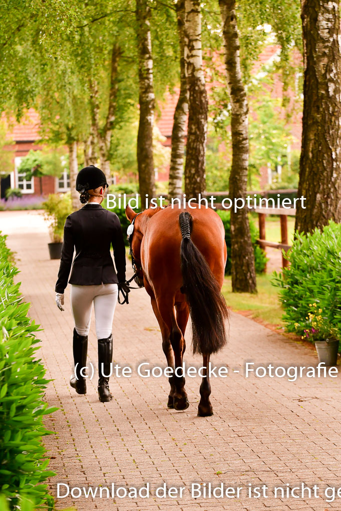 Goldene Schärpe Ponys in Löningen 4+5.6.22 | 05062022 Vormustern_229