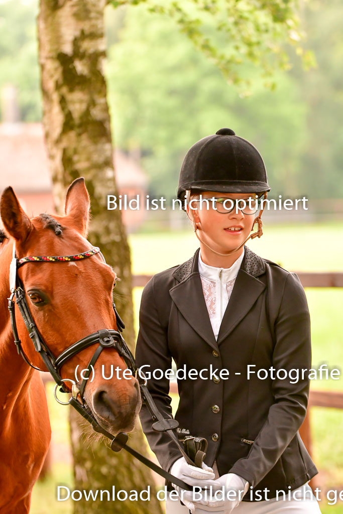 Goldene Schärpe Ponys in Löningen 4+5.6.22 | 05062022 Vormustern_233