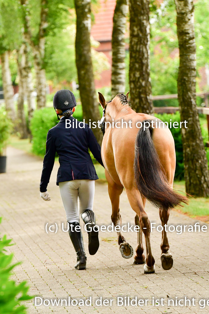 Goldene Schärpe Ponys in Löningen 4+5.6.22 | 05062022 Vormustern_237