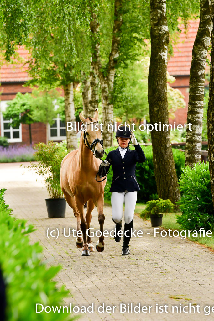 Goldene Schärpe Ponys in Löningen 4+5.6.22 | 05062022 Vormustern_238