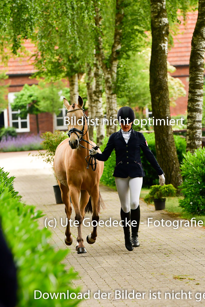Goldene Schärpe Ponys in Löningen 4+5.6.22 | 05062022 Vormustern_239