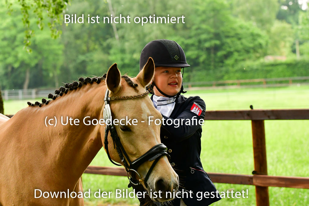 Goldene Schärpe Ponys in Löningen 4+5.6.22 | 05062022 Vormustern_242