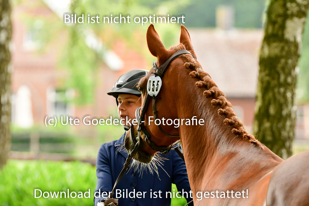 Goldene Schärpe Ponys in Löningen 4+5.6.22 | 05062022 Vormustern_244