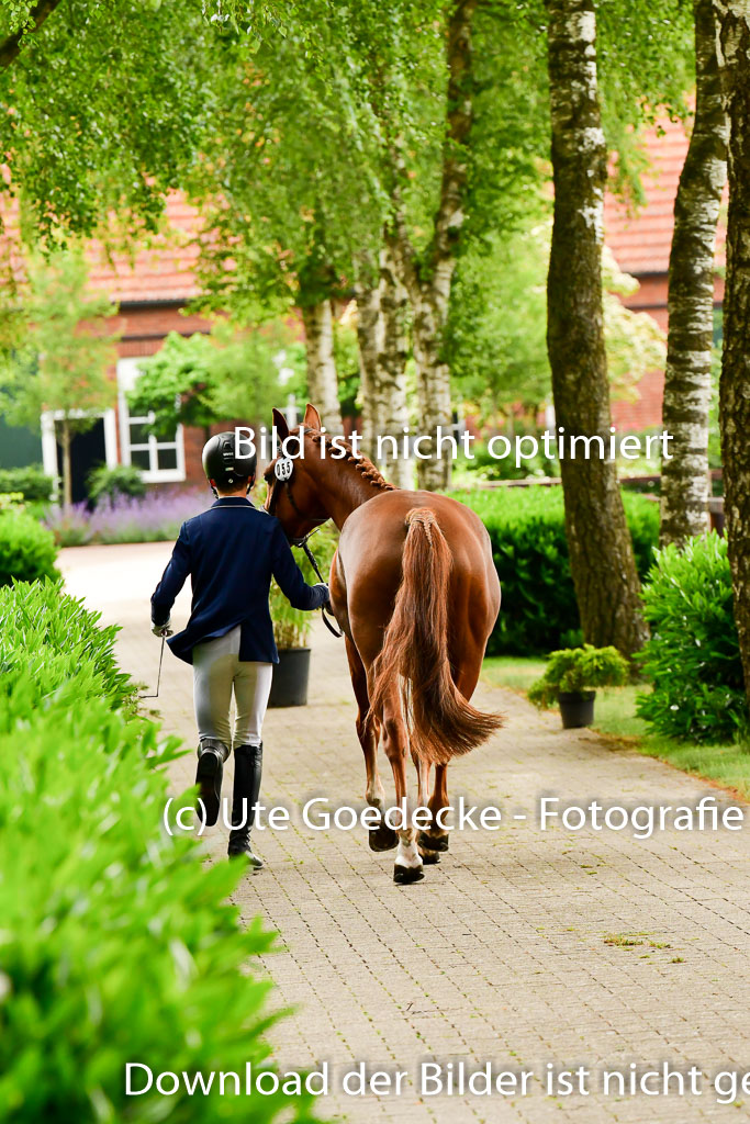 Goldene Schärpe Ponys in Löningen 4+5.6.22 | 05062022 Vormustern_246