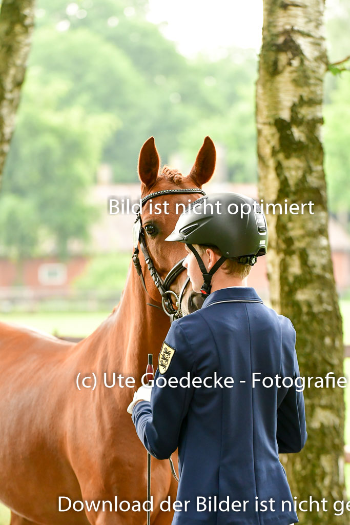 Goldene Schärpe Ponys in Löningen 4+5.6.22 | 05062022 Vormustern_249