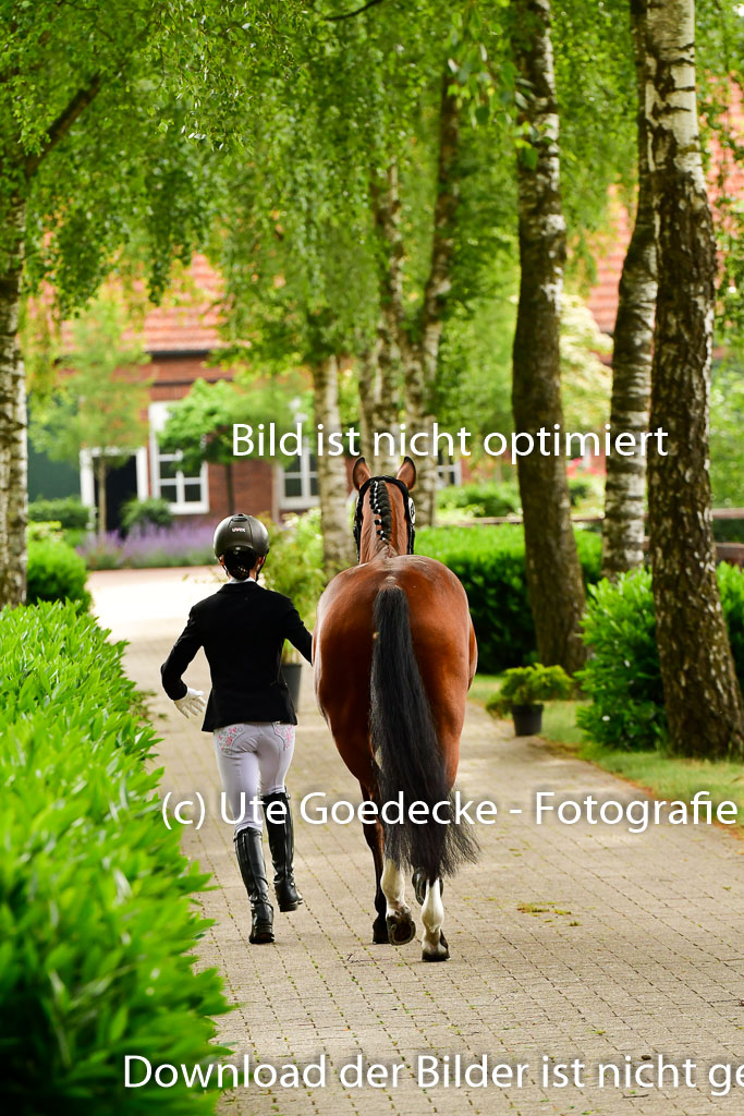Goldene Schärpe Ponys in Löningen 4+5.6.22 | 05062022 Vormustern_253