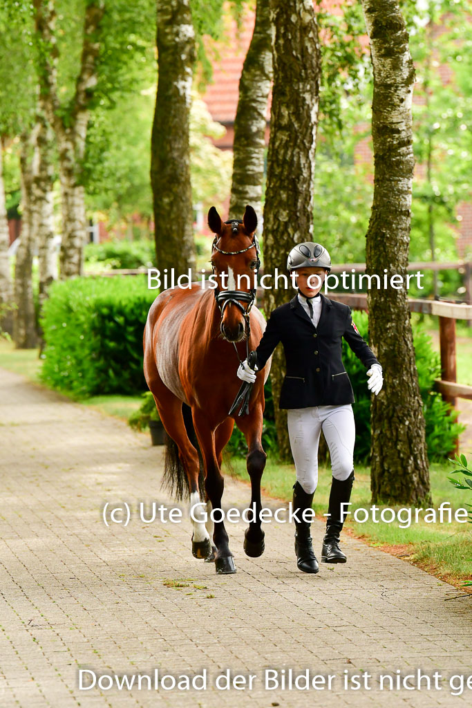 Goldene Schärpe Ponys in Löningen 4+5.6.22 | 05062022 Vormustern_254